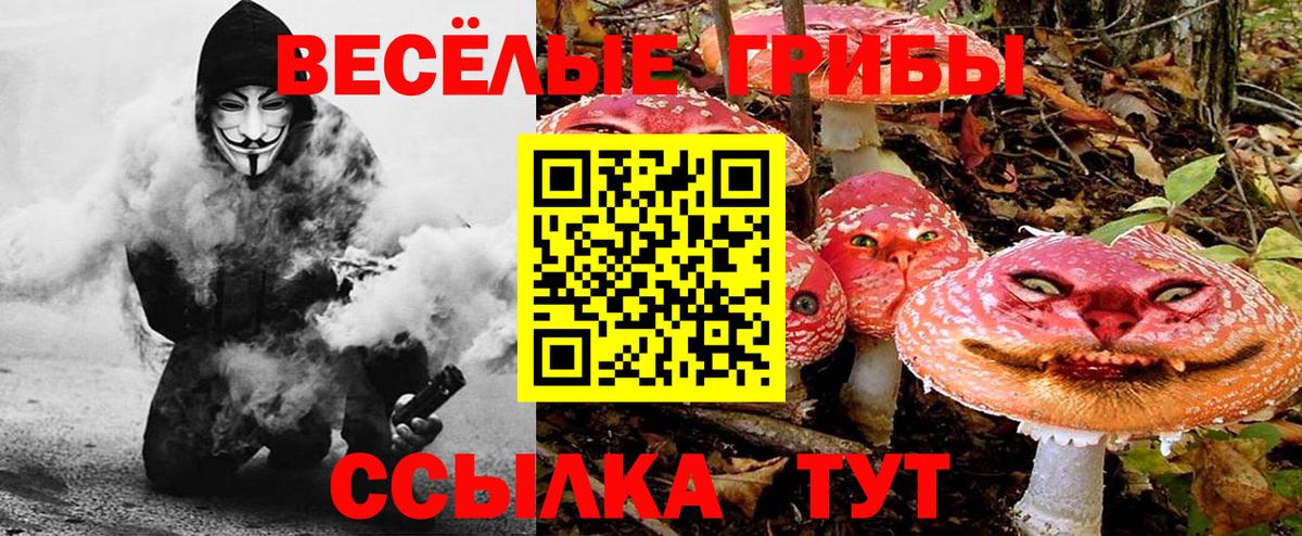 Галлюциногенные грибы мицелий Моздок