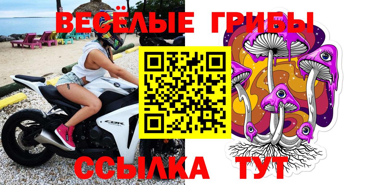 наркота  Псилоцибиновые грибы Psilocybine cubensis  Вход с VPN  Моздок 